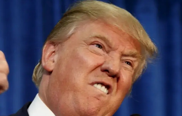 Life in the Insane World of Donald Trump MAGA donald trump